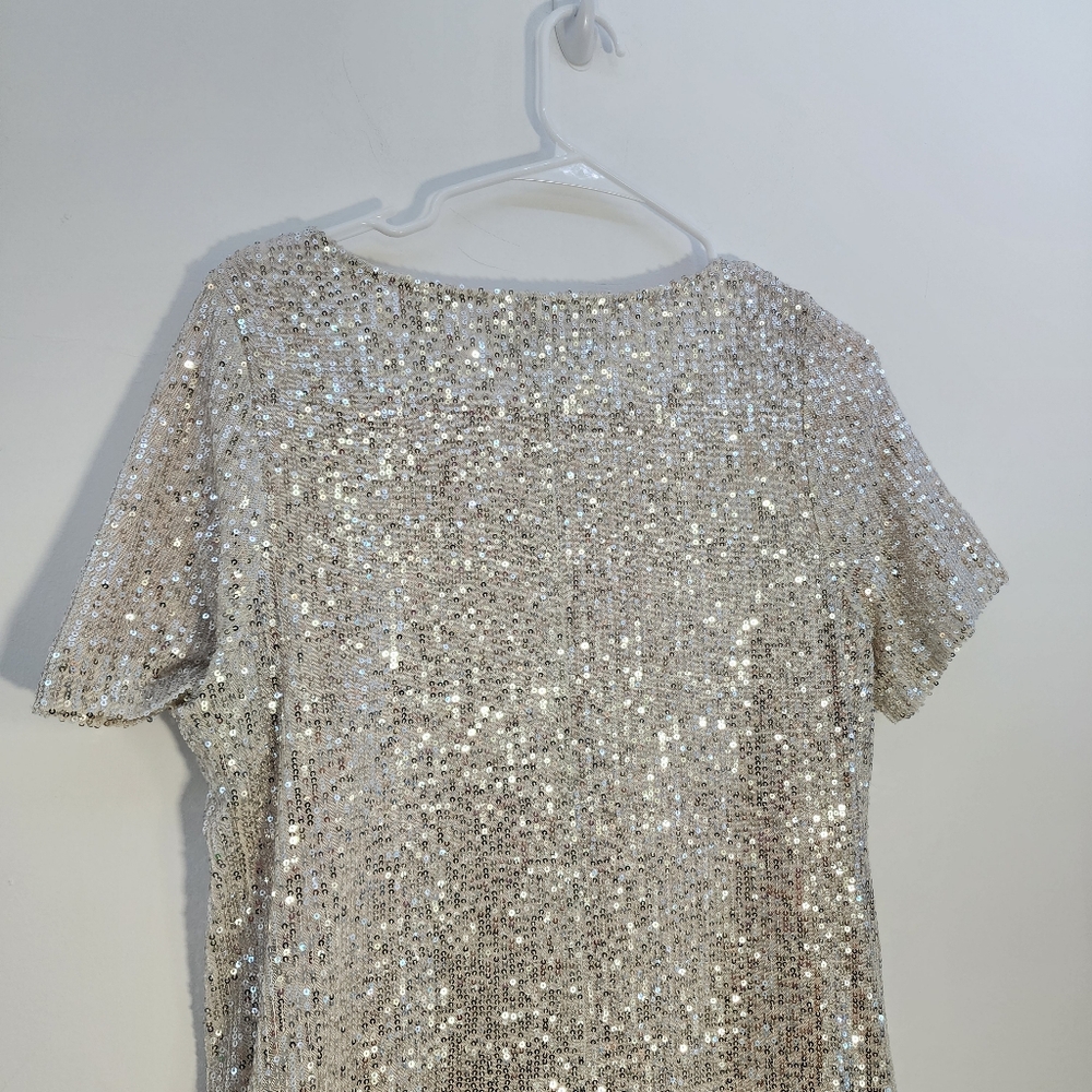 7 For All Mankind Small Silver Sequin Dress - Picture 7 of 9